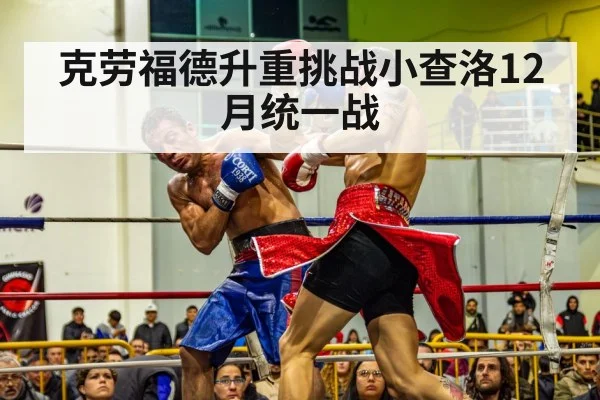 克劳福德升重挑战小查洛12月统一战